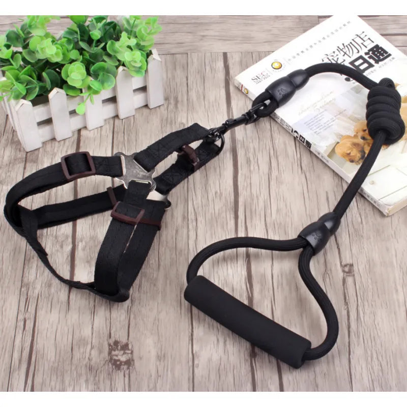 Adjustable Dog Harness with Leash in 5 Colours