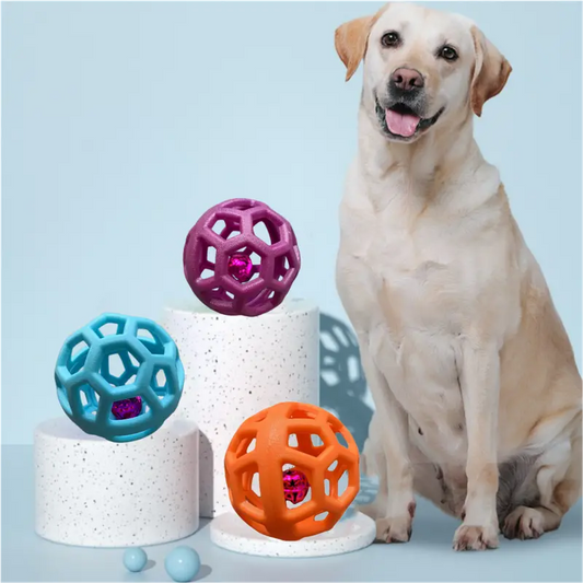 Versatile Activity and Sniffing Ball for Dogs