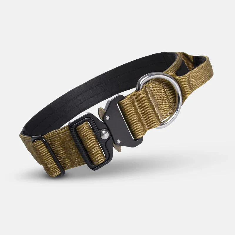 Practical Dog Collar with Handle for Better Control