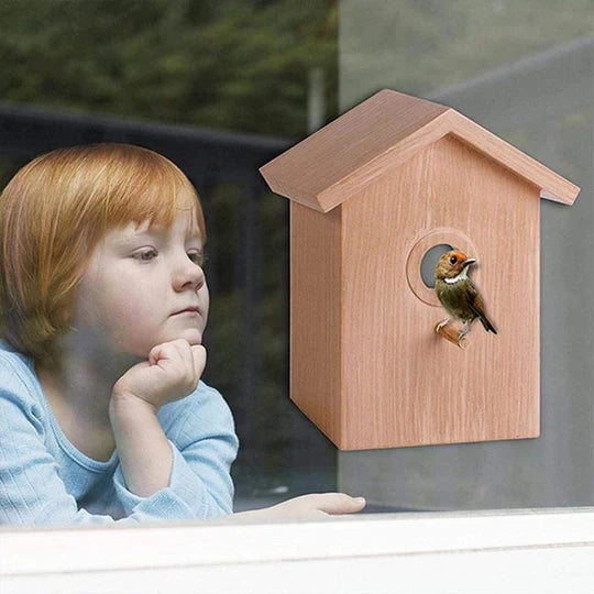Window Bird House with Suction Cups