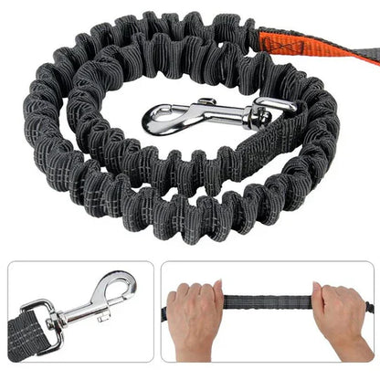 Hands-Free Leash with Belt for Dogs
