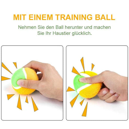 Interactive Ball Toys for Pets