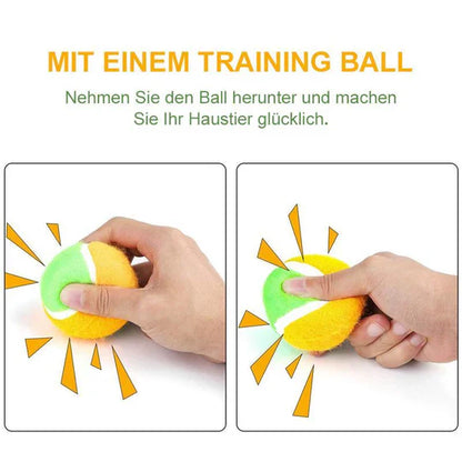 Interactive Ball Toys for Pets