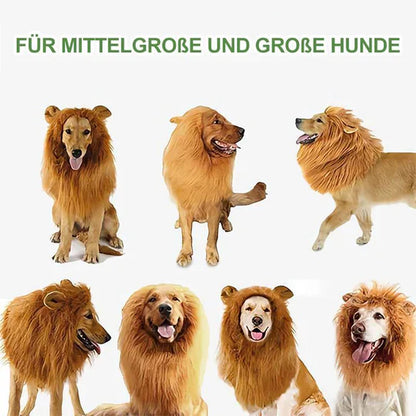 Lion Mane Dog Costume