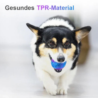 Long-Lasting Chew Ball for Dogs