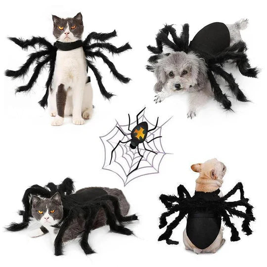 Scary Spider Costume for Pets