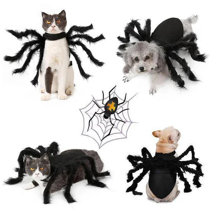 Scary Spider Costume for Pets