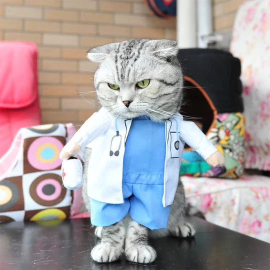 Creative Costumes for Pets