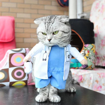 Creative Costumes for Pets