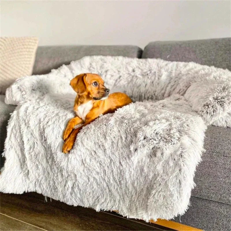 Luxurious Dog Sofa