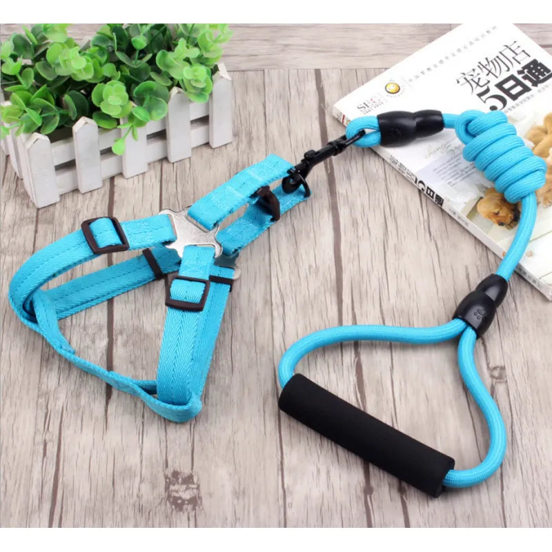 Adjustable Dog Harness with Leash in 5 Colours