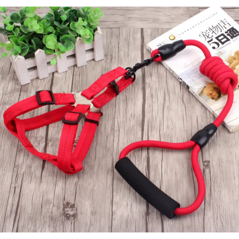 Adjustable Dog Harness with Leash in 5 Colours