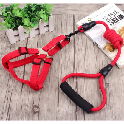 Adjustable Dog Harness with Leash in 5 Colours