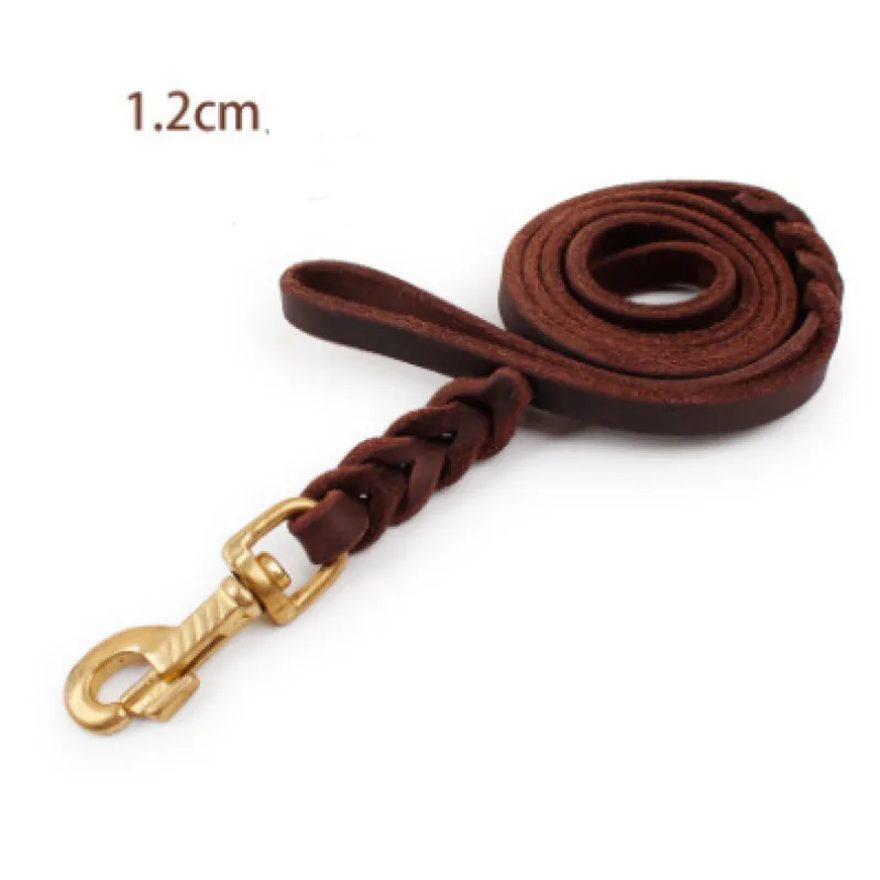 Leather Dog Lead with Gold Clip – Durable and Stylish Dog Accessory