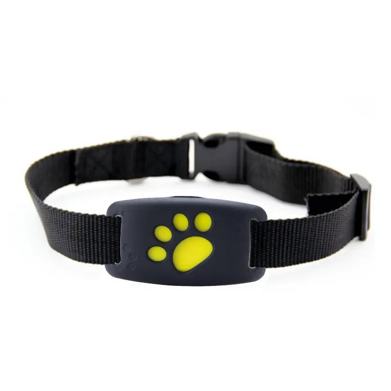 Dog Collar with LED Light Function - Visible in the Dark, Solid and Comfortable
