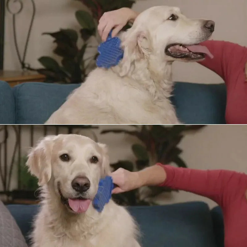 Multifunctional Silicone Dog Brush with Massage Function for Gentle Grooming