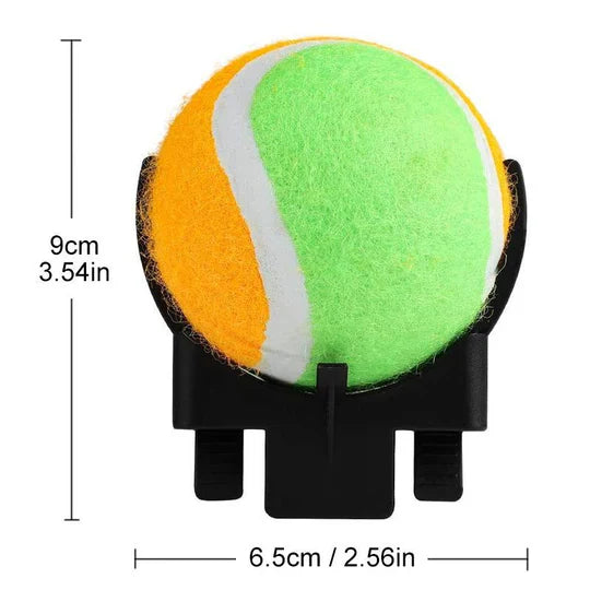 Interactive Ball Toys for Pets