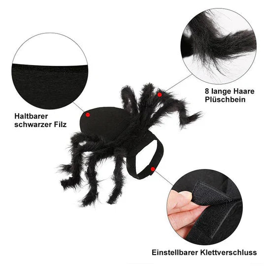 Scary Spider Costume for Pets