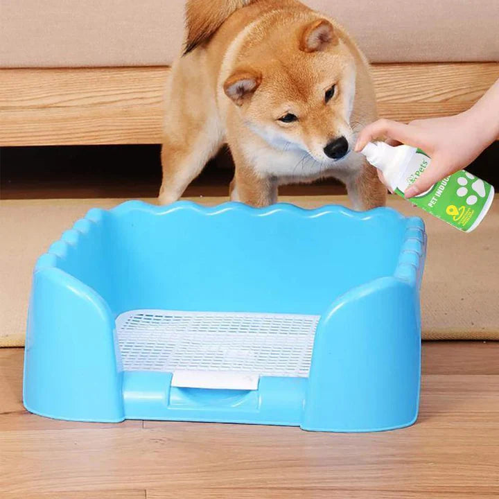 Instructions for Targeted Placement of Pet Toilets