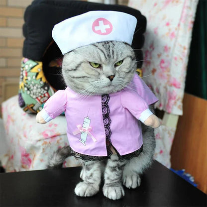 Creative Costumes for Pets