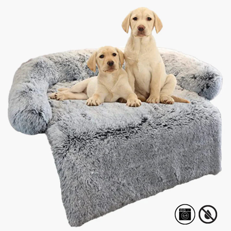 Luxurious Dog Sofa