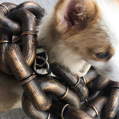 Stylish and Fun Dog Leash