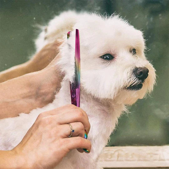 Dog Hair Cutting Scissors - Precise Coat Care