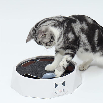 Interactive Mouse Hide-and-Seek Game for Cats
