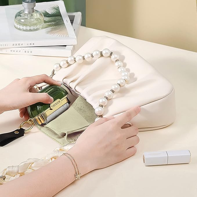 Premium Mini Pet Hair Remover