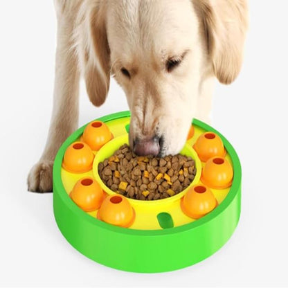 Puzzle Feeding Station