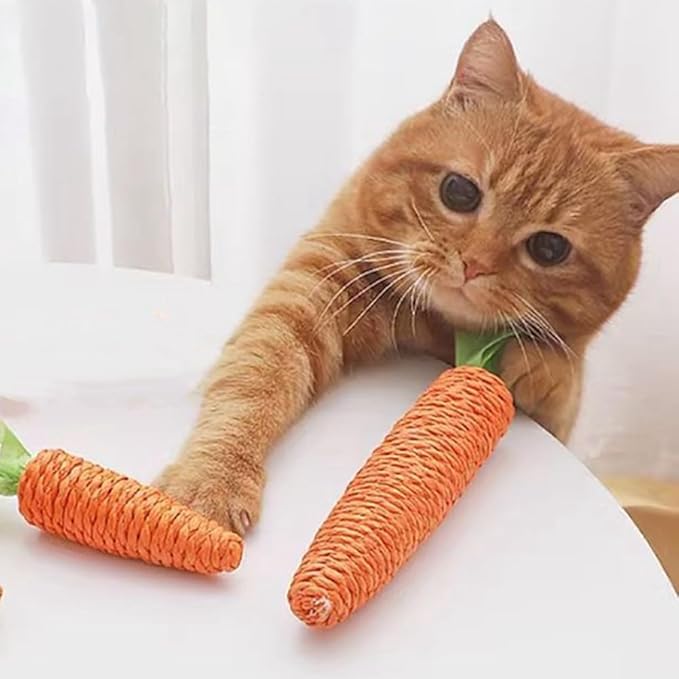 Scratching Carrot for Cats - Interactive Sisal Toy for Playful Indoor Tigers