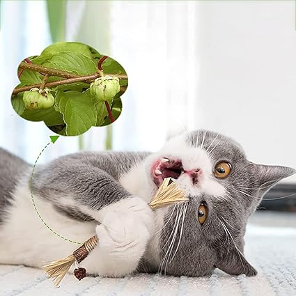 Kitty Tooth Cleaning Sticks