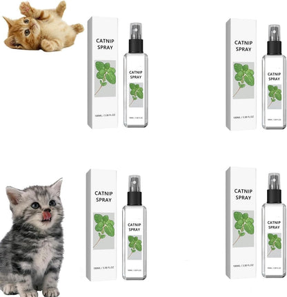 Silver Vine Spray for Cats
