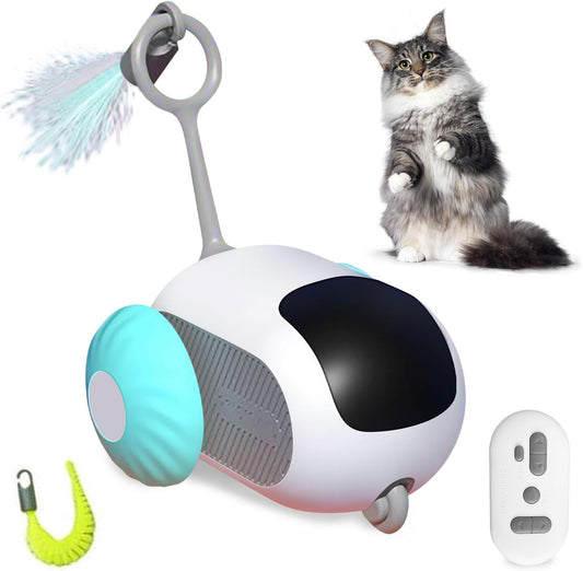 Remote Control Cat Toy