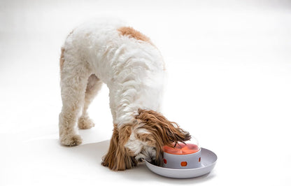 Smart Feeding Station UFO