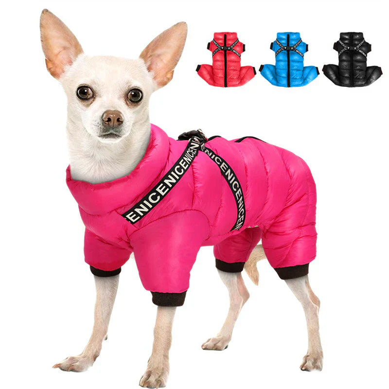 Winter Dog Coat for Cold Days