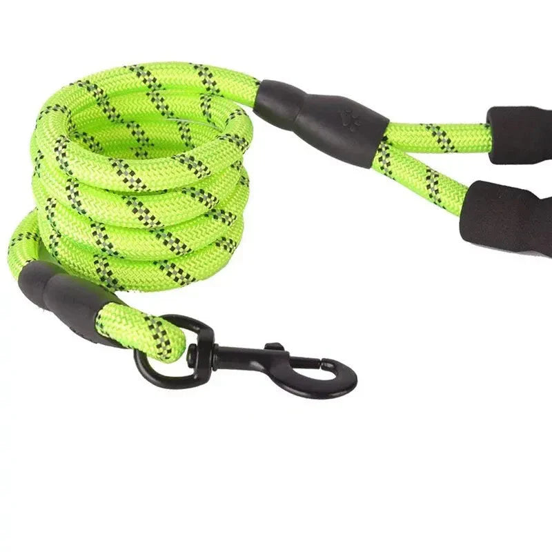 Adjustable Nylon Dog Leash with Padded Handle – Durable and Non-Slip Design