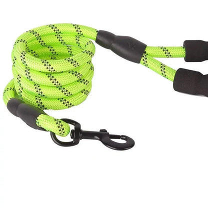 Adjustable Nylon Dog Leash with Padded Handle – Durable and Non-Slip Design