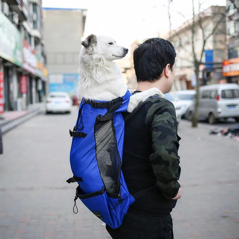 Travel Backpack with Mesh Pockets - Durable Design with Adjustable Straps