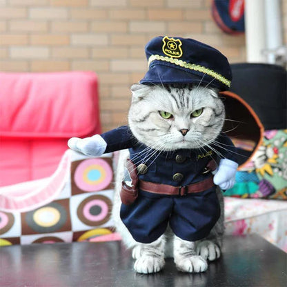Creative Costumes for Pets