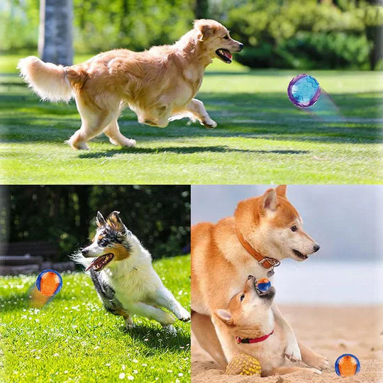 Long-Lasting Chew Ball for Dogs
