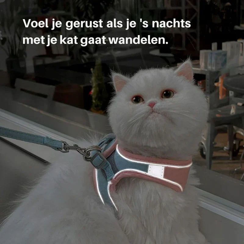 Cute Cat Harness