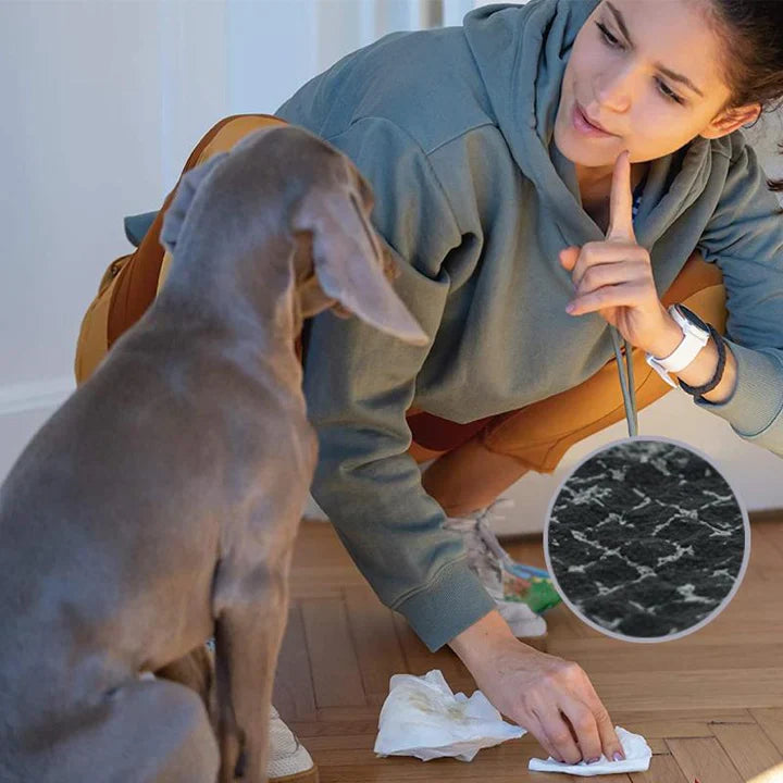 Carbon Training Pads for Pets - 50 Pcs