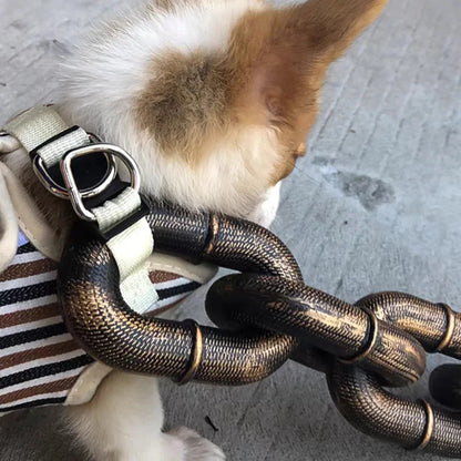 Stylish and Fun Dog Leash