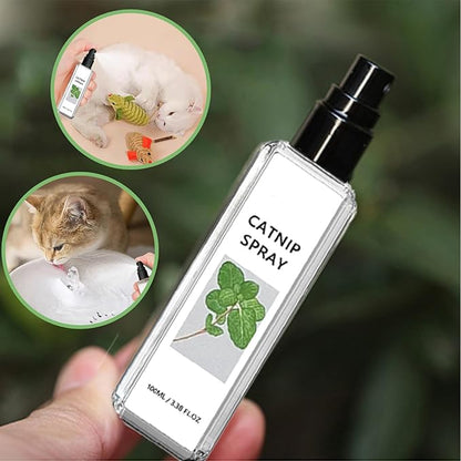 Silver Vine Spray for Cats