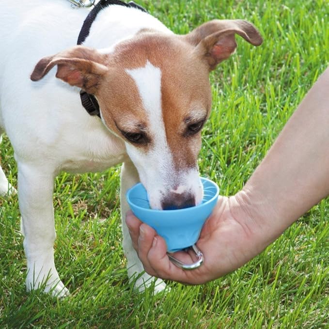Portable Pet Water Bottle with Built-In Bowl and Carabiner