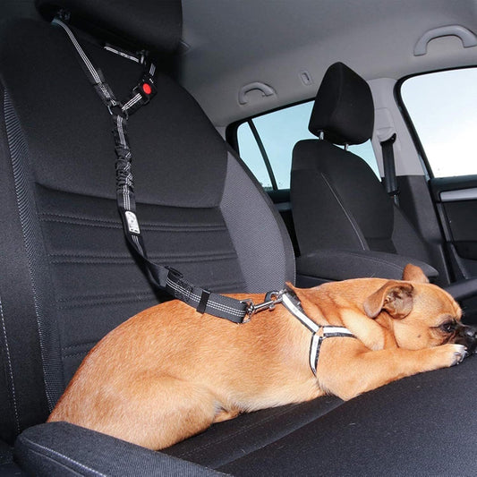 Car Seatbelt Harness