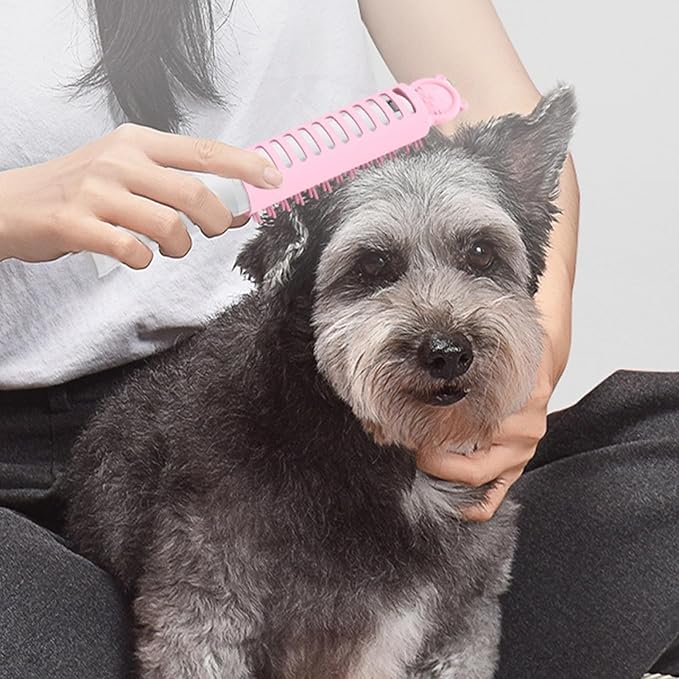 Electric Heating Brush for Pets