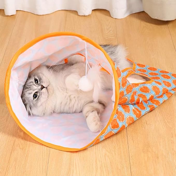 Cat Tunnel Toy