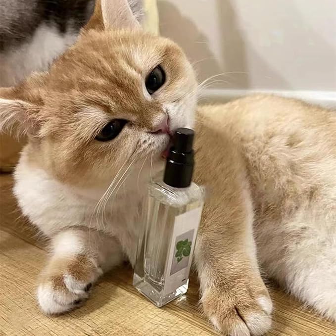 Silver Vine Spray for Cats